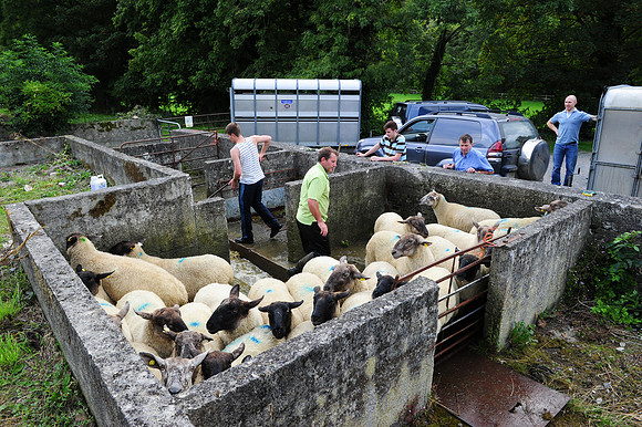 0055 Irish Culture