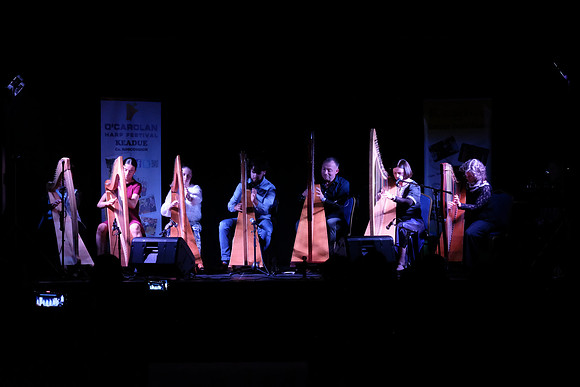 0164 Harps Together