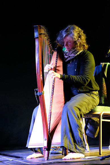 0018 Harps Together
