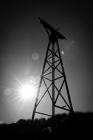 298_ AGRINA