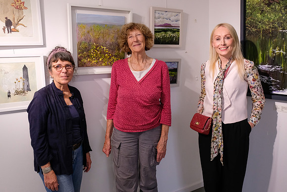 20 Boyle Arts Festival 21st July