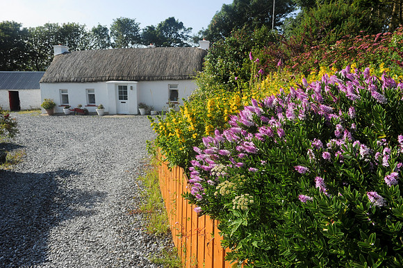 110 Irish Cottage Life