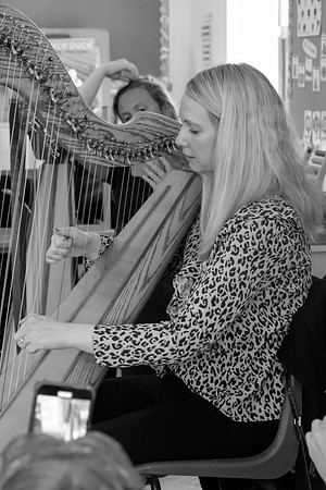 53 O'Carolan Festival Harp workshops 1st August
