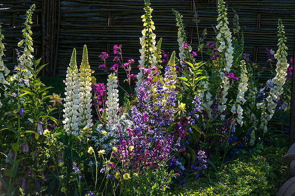 125 Irish Flowers