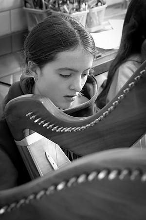 37 O'Carolan Festival Harp workshops 1st August