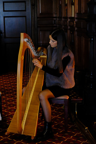 0013 O'Carolan Musicians