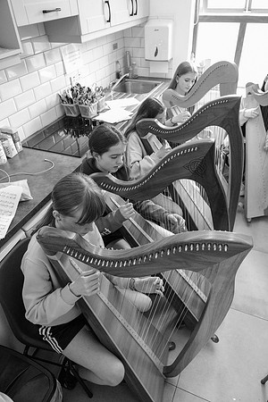 48 O'Carolan Festival Harp workshops 1st August