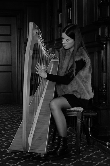 0029 O'Carolan Musicians