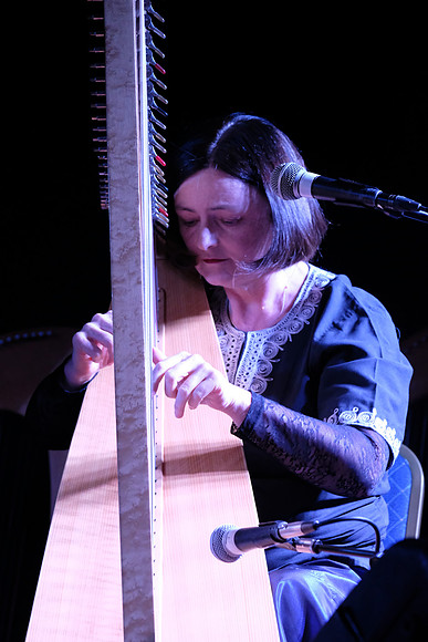 0080 Harps Together