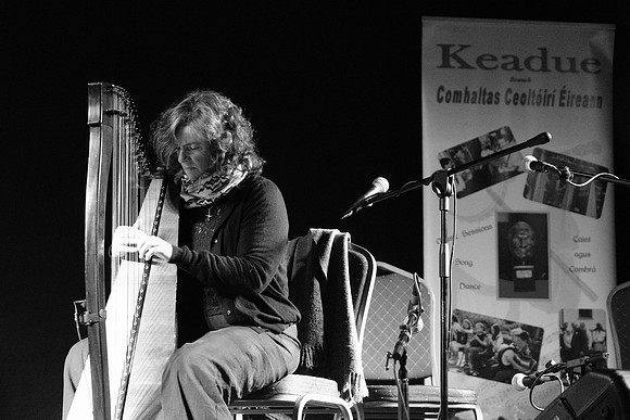 0021 Harps Together