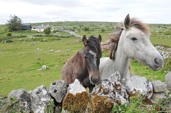 0045 Irish Culture