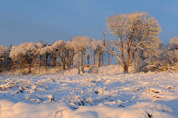 082 Ireland in the snow