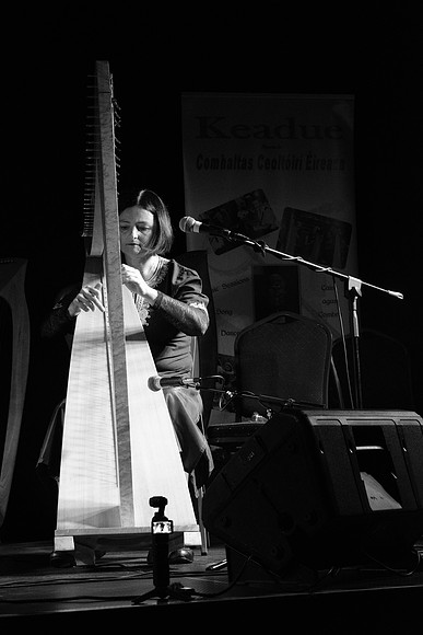 0089 Harps Together