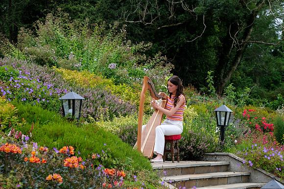 133 O'Carolan Festival Harp Competitions and Tour