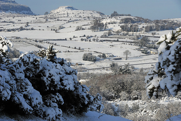 092 Snow David Knight
