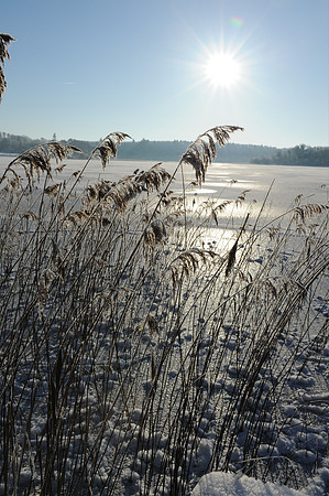 125_ AGRINA