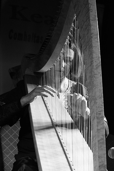 0096 Harps Together
