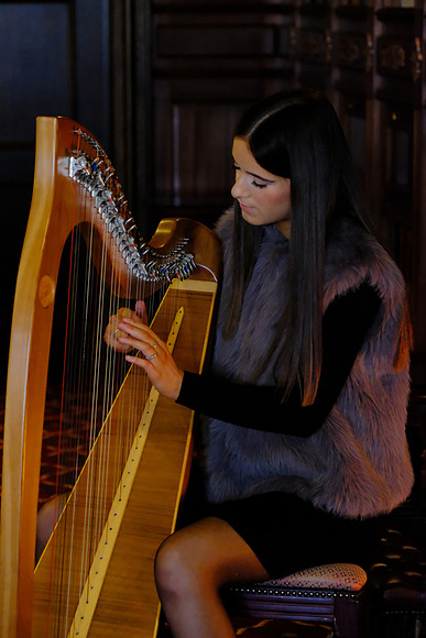 0015 O'Carolan Musicians