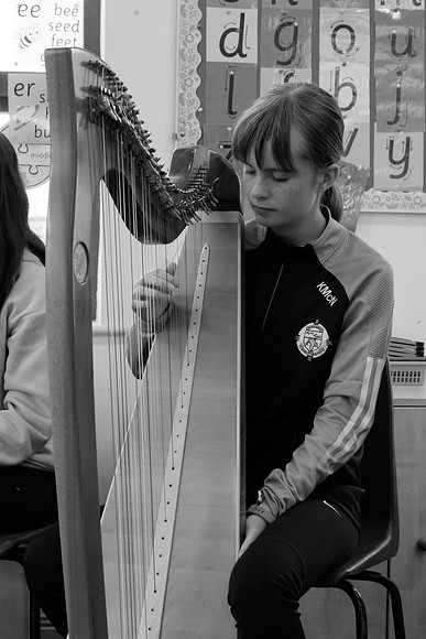 201 O'Carolan Harp Festival 2024