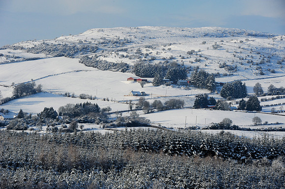 091 Snow David Knight