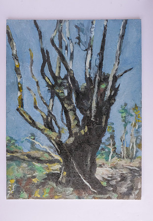 138 Julie Gale Art 12th July