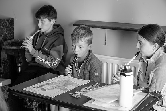 7 O'Carolan Festival Harp workshops 1st August