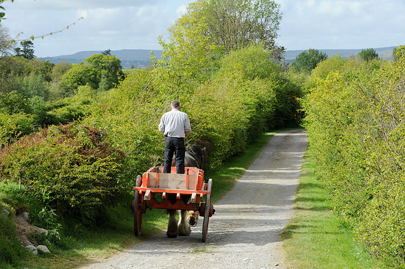0026 Irish Culture