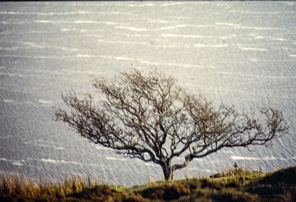133_ AGRINA
