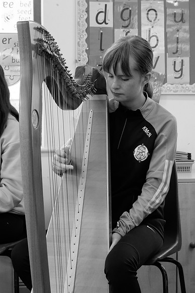 202 O'Carolan Harp Festival 2024