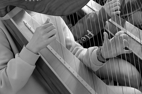 40 O'Carolan Festival Harp workshops 1st August