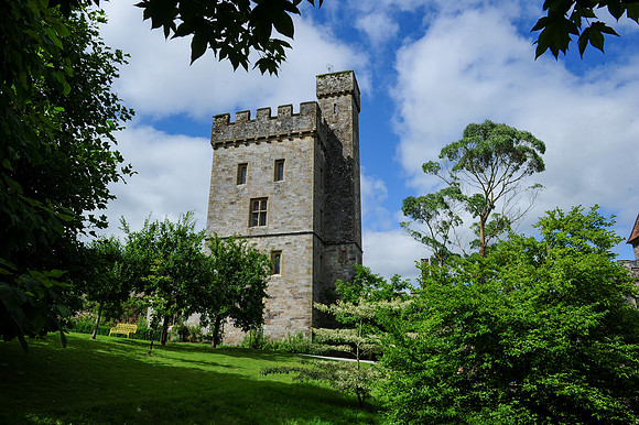 0087 Irish heritage