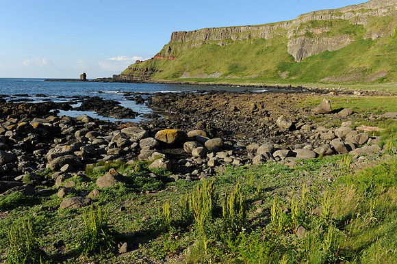 037 Giants Causeway