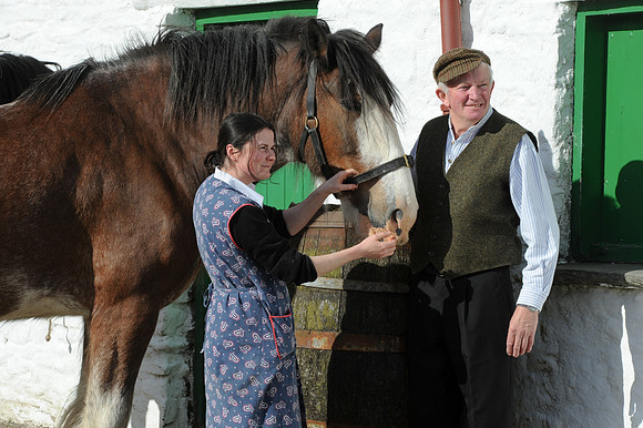 0031 Irish Culture