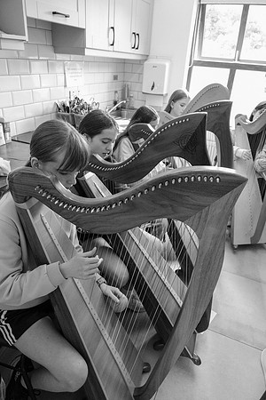 47 O'Carolan Festival Harp workshops 1st August