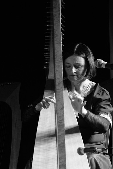 0063 Harps Together