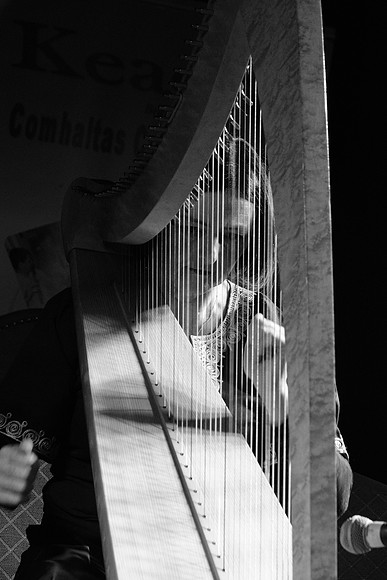 0098 Harps Together