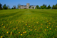 Kilronan Castle 9th May