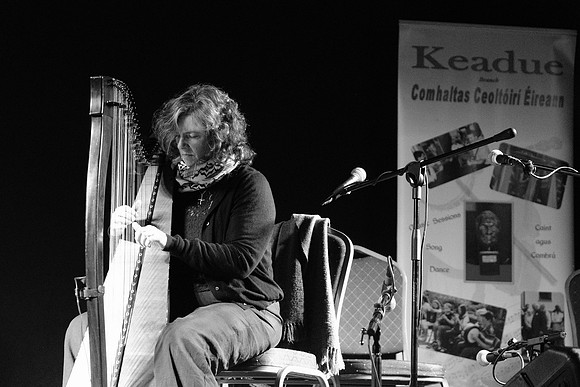 0022 Harps Together