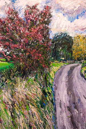 6 Boyle Arts Festival 21st July