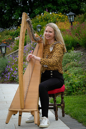 117 O'Carolan Festival Harp workshops 1st August