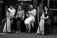 0012 O'Carolan Harp Festival