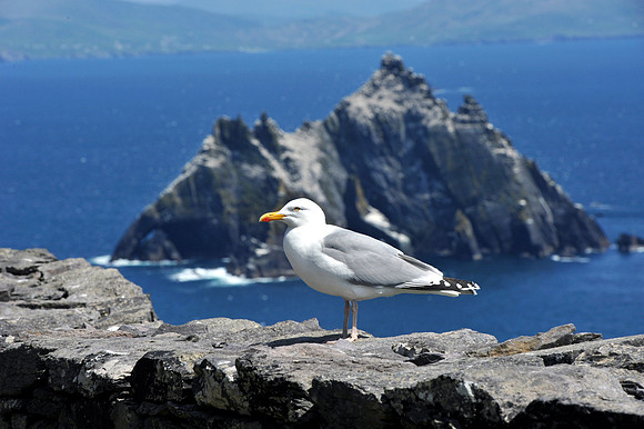 0036 Irish heritage