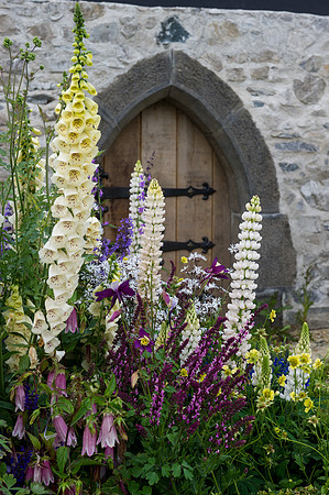 144 Irish Flowers