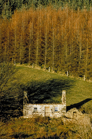 173_ AGRINA
