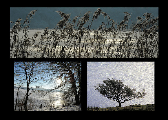 185_ AGRINA