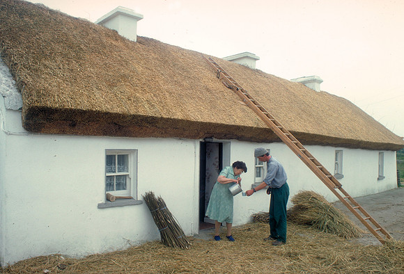 0050 Irish Culture