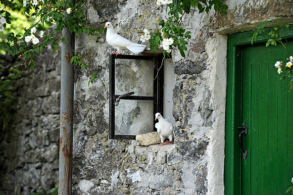 0055 Irish Landscapes