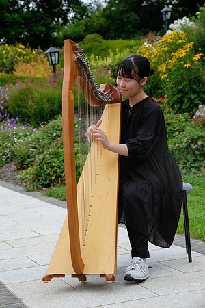 286 O'Carolan Festival Harp Competitions and Tour