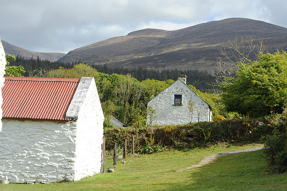 024 Irish Cottage Life