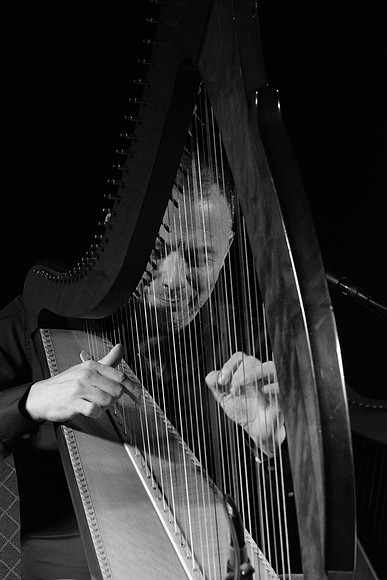 0091 Harps Together